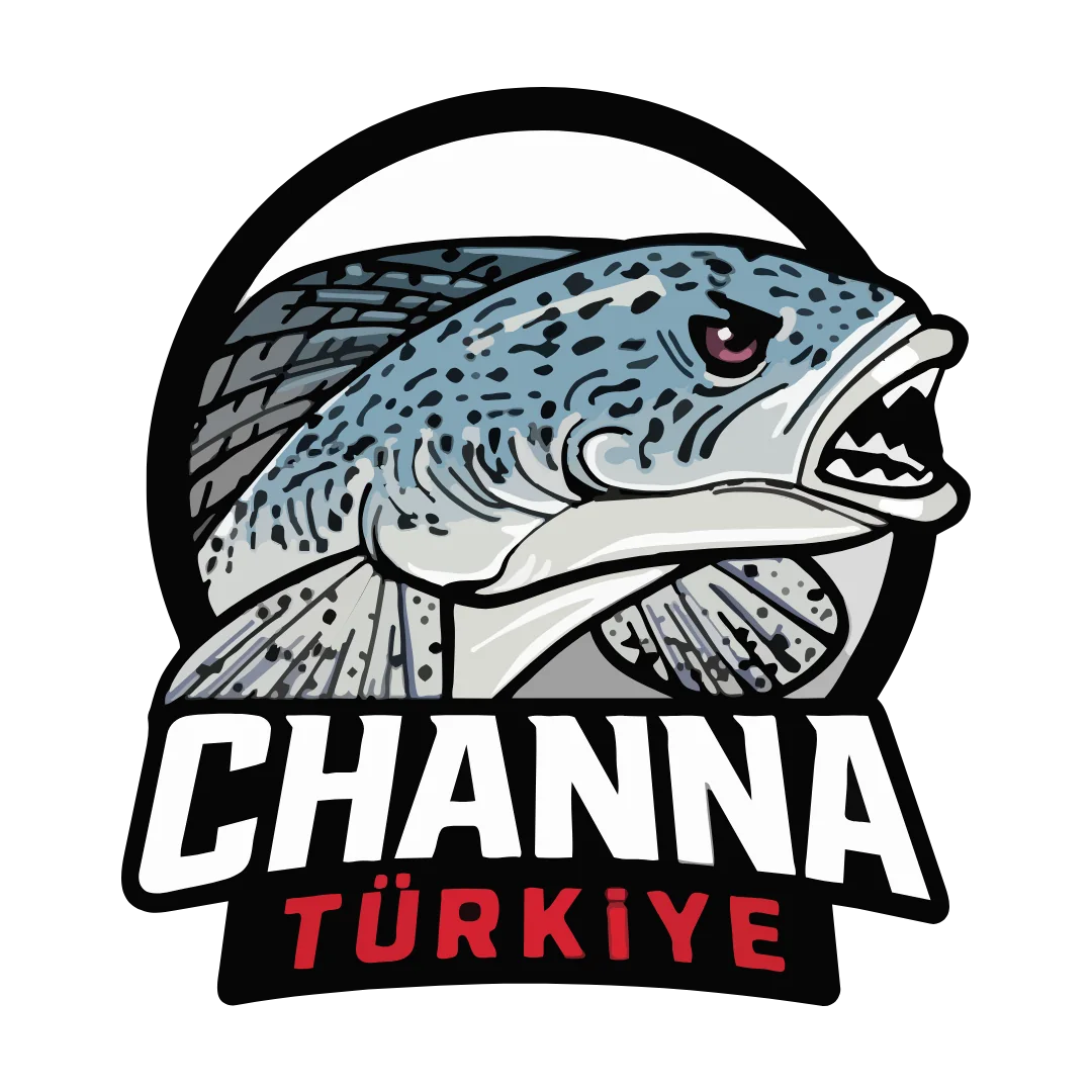 Channa Türkiye