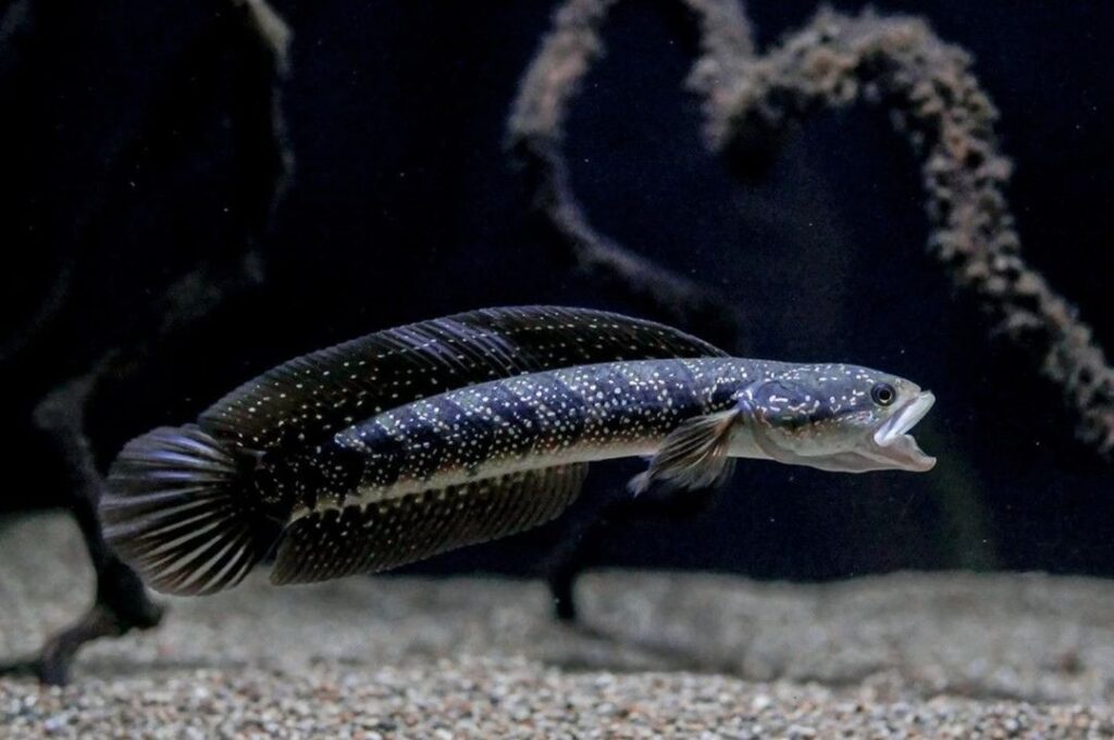 47f0667dffb8894d95809ef26687b646