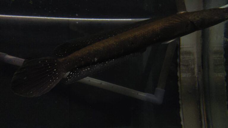 whatsapp image 2025 12 05 at 08.44.10