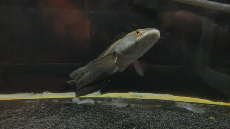 whatsapp image 2025 12 05 at 08.44.10(1)