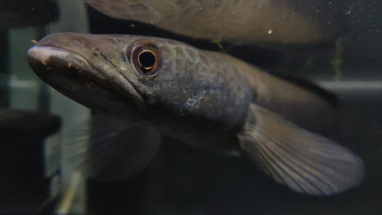 whatsapp image 2025 12 05 at 08.44.10(2)