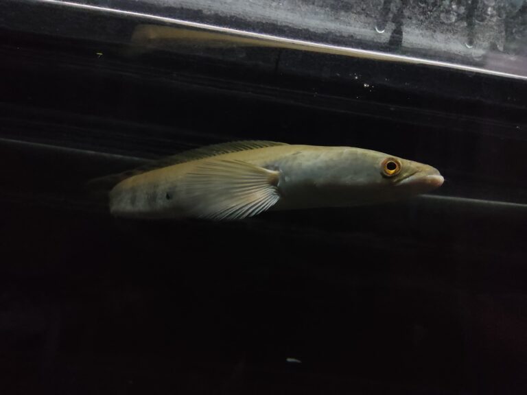 whatsapp image 2025 12 05 at 08.44.10(3)