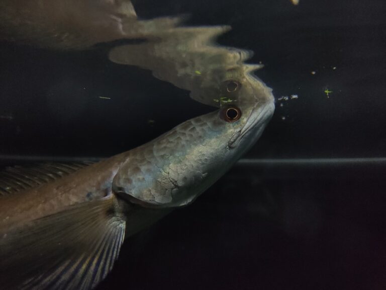 whatsapp image 2025 12 05 at 08.44.11