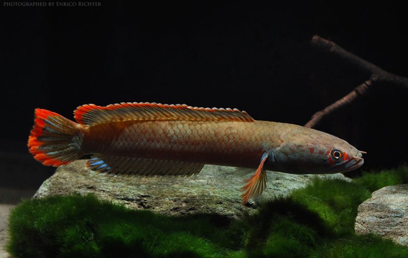 b2df977cce53ee2c833c6301684f662b