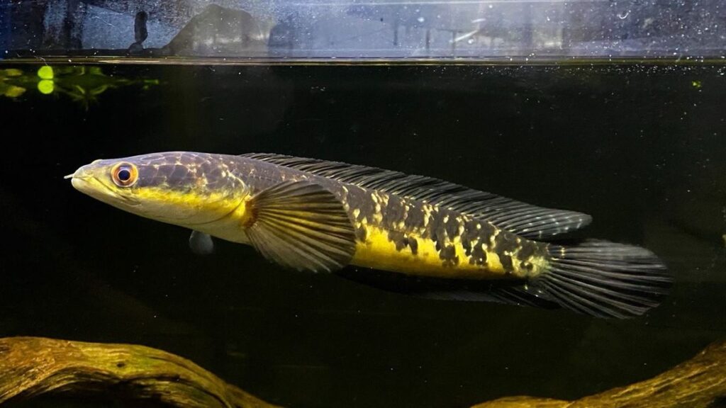 e0b8ea524fbfb87a8d55258e7201769b