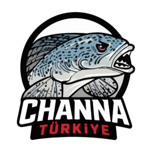 ChannaTurkiye LOGO 300x300