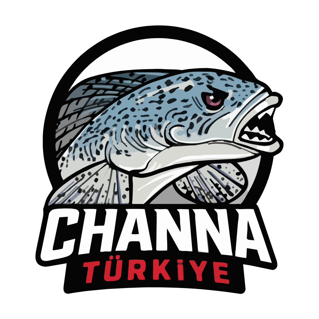 ChannaTurkiye LOGO