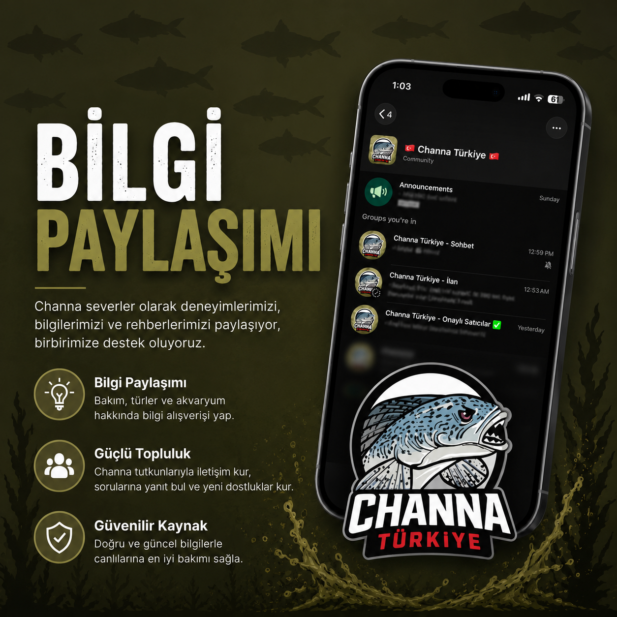 bilgi paylasimi
