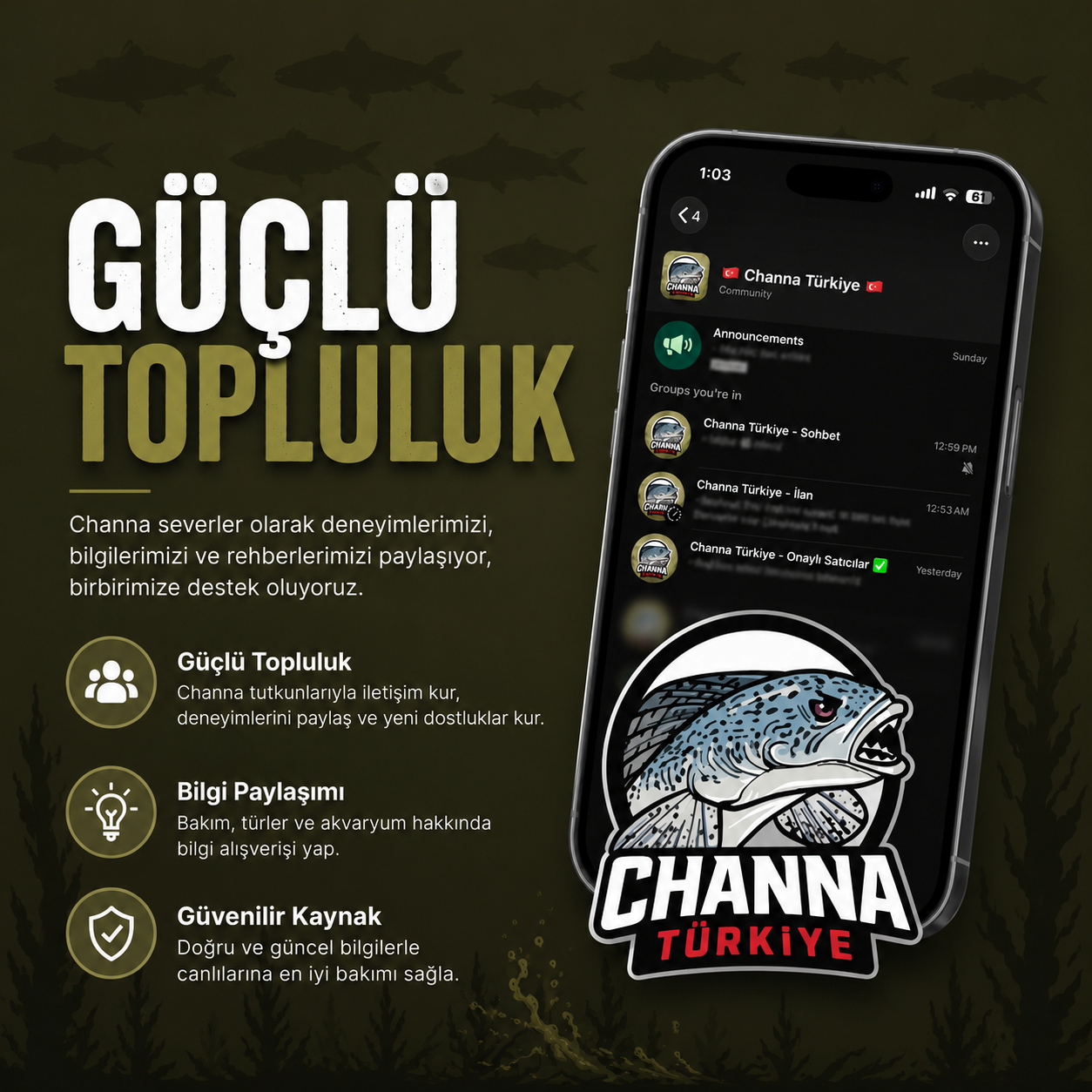 guclu topluluk