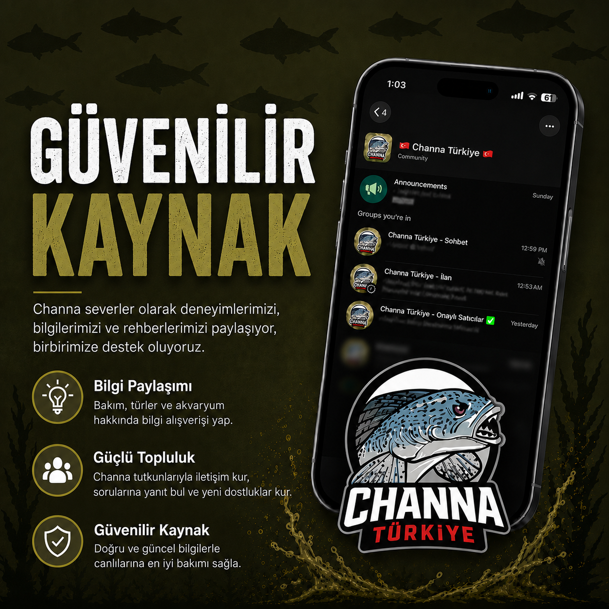 guvenilir kaynak