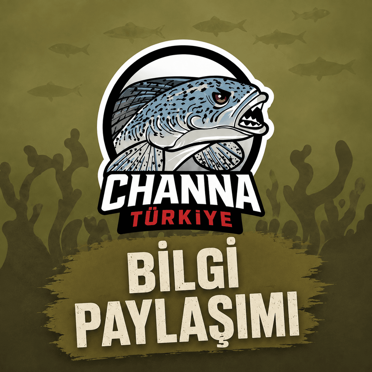 bilgi paylasimi