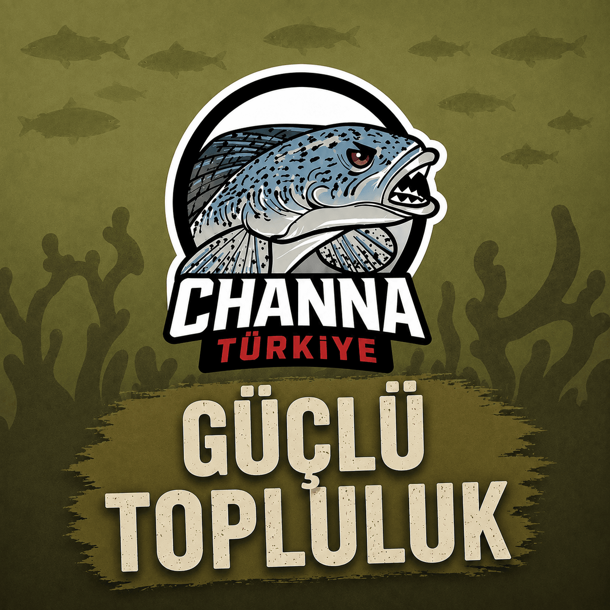 guclu topluluk