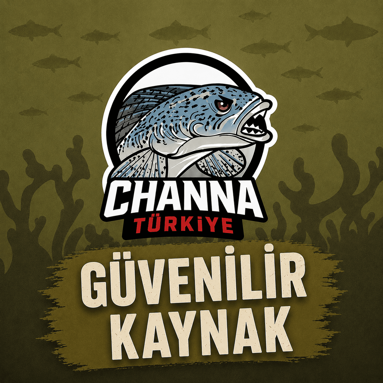 güvenilir kaynak